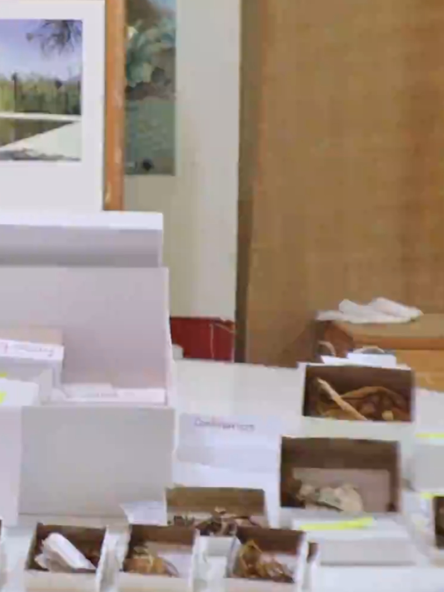 Guía y alumnos en el Jardín Etnobotánico